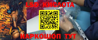 прущие грибы Партизанск